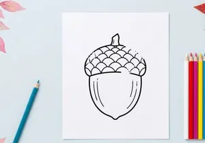 Close-up of an acorn on a white background. Natural nut with textured cap, detailed macro shot.
