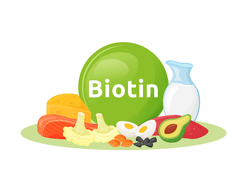 Products containing biotin cartoon vector illustration