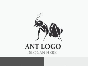 Ant logo design silhouette. Isolated animal ants on background design template vector preview picture