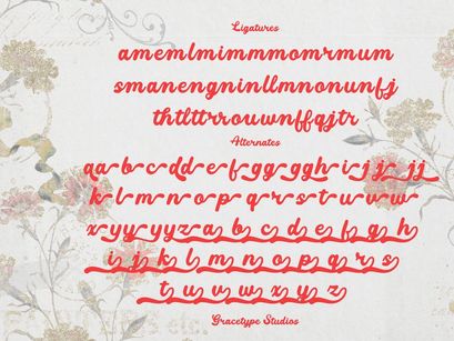 Cherished Darling | Vintage Bold Script