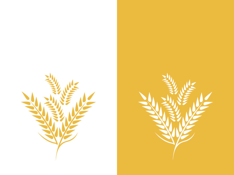 Wheat logo vector icon illustration design