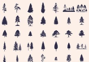 Silhouettes Trees Set, Pine Tree fir pruce cedar white patch alder elm birch ash cypress beech palm tree.