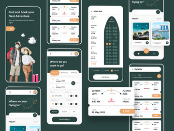 Flight Booking App Design preview picture