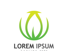 Colorful natural leaf logo design.