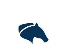 Horse Logo Template Vector illustration design