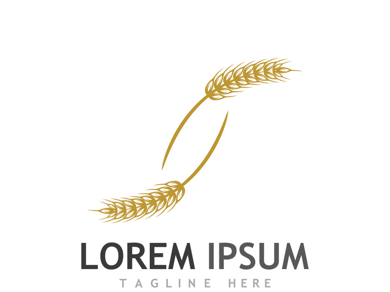 Organic wheat farm logo template.