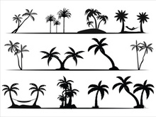 Palm Tree Collection and Silhouettes