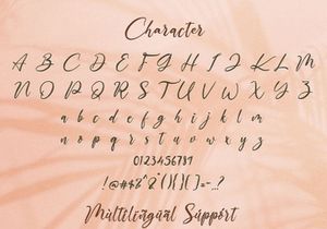 The Austin - Handwritten Script Font