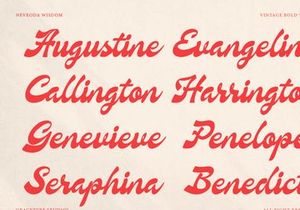 Nevroda Wisdom | Vintage Bold Script