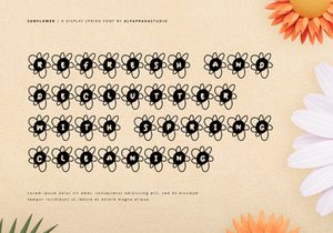 Sun Flower - Decorative Display Font