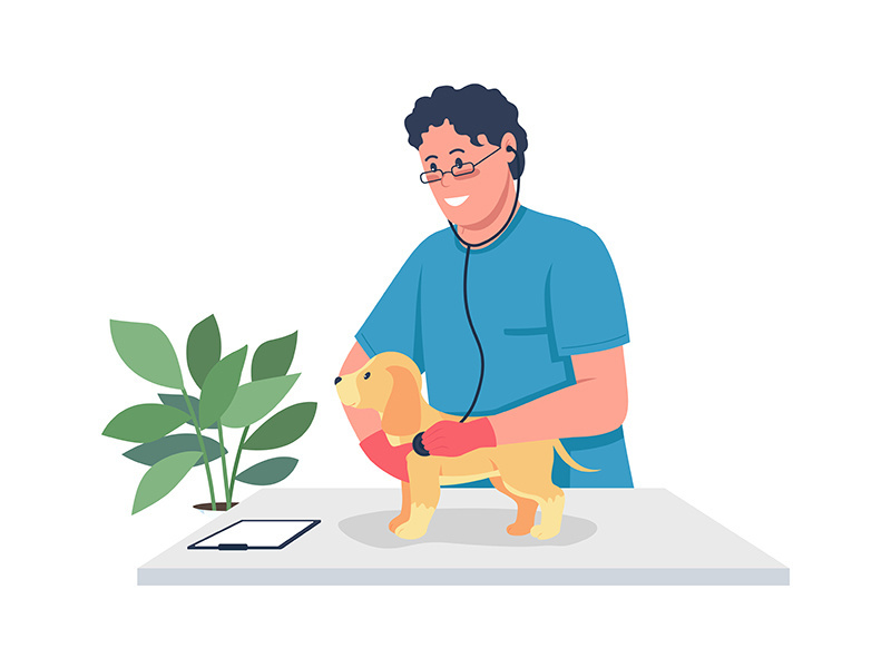 Veterinarian doctor holding puppy flat color vector detailed character