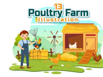 13 Poultry Farm Vector Illustration preview picture