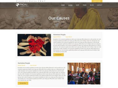 Pachu - Charity, NGO, Non Profit website PSD template