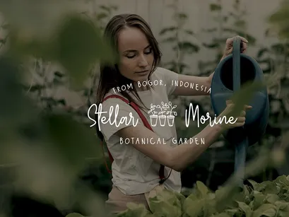 Wildy Sign Signature Font