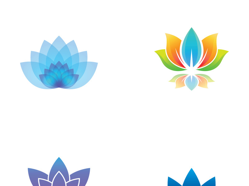 Colorful lotus flower logo design.