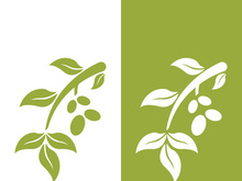 olive icon vector illustration design template