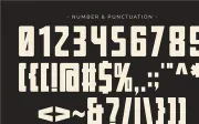 Bohemia - Modern Sans Serif Font
