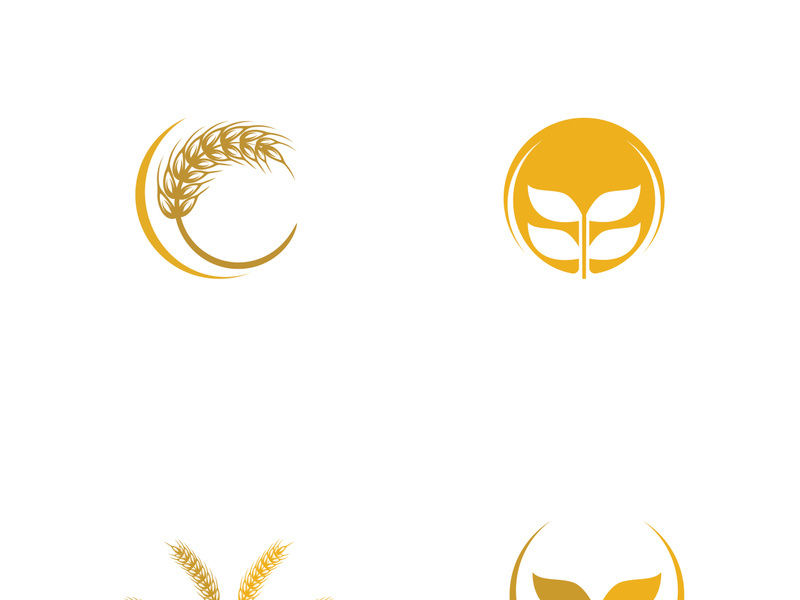 Organic wheat farm logo template.