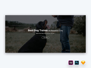 Hero Header for Pets Training Websites-01 preview picture