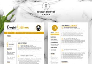 Professional Word Resume Template
