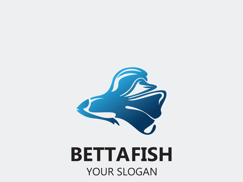 Betta fish modern logo style design vector image illustration