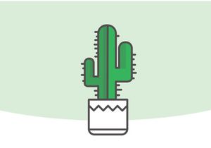 Indor Flower Vector Illustration