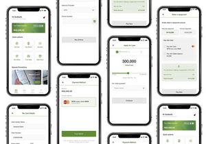 FlexPay Loan Mobile App