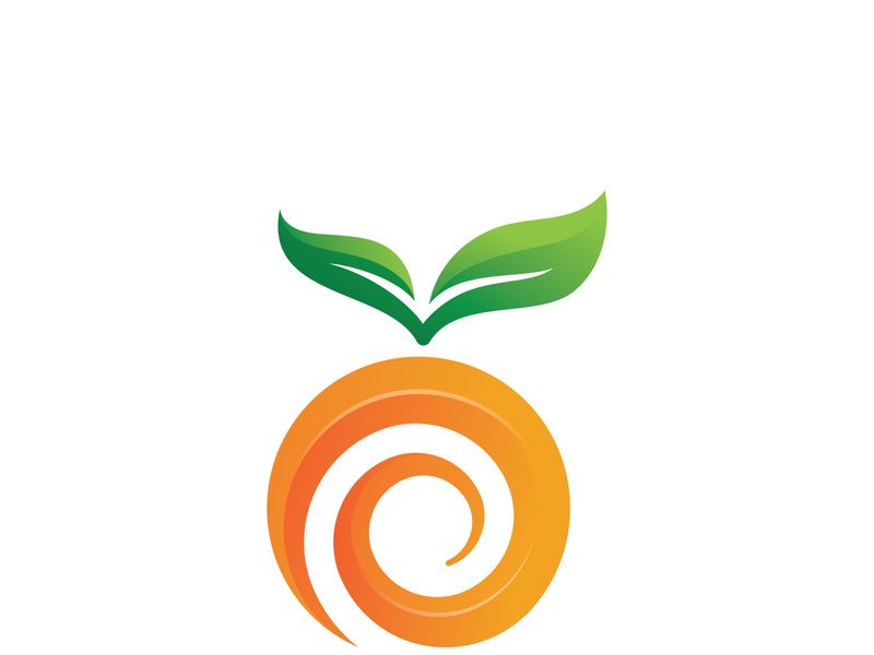 Orange Fresh Fruit Logo template. Vector illustration.