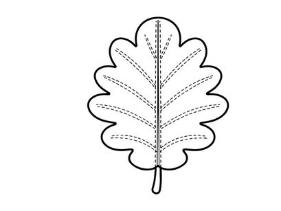 Close-up of a detailed oak leaf with prominent veins. Natural botanical illustration for educational or environmental projects.