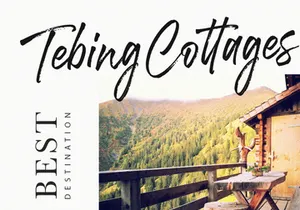 Long Path - Brush Script Font