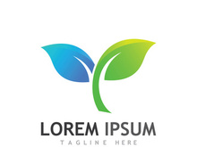 Natural green leaf logo design.