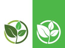 Green tree leaf nature logo images illustration design