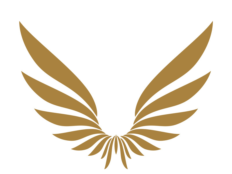 Wings logo