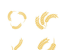 Wheat logo vector icon illustration design