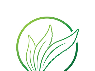 Aloe Vera logo icon design symbol beauty skin care preview picture