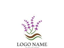 Lavender flower vector icon illustration design template