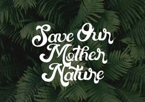 Mentari - Bold Script Font