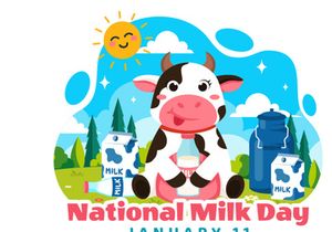 10 National Milk Day Illustration