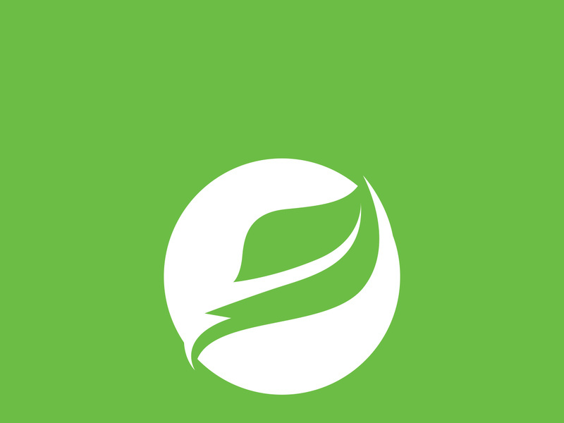 Leaf logo green nature vector image