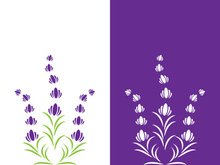 Fresh lavender flower logo vector flat design