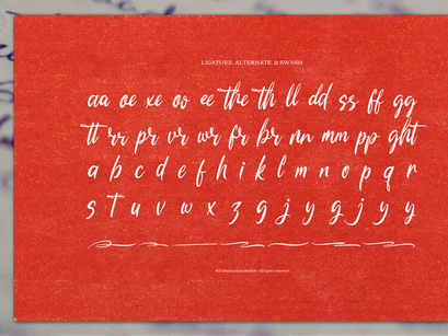 Marionette Ricocheta | Handwritten Script