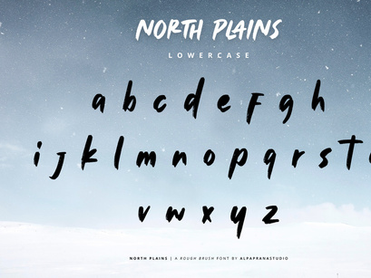 North Plains - Rough Brush Font