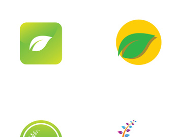 Natural green leaf logo design. preview picture