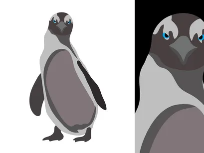 Penguins Vector Bundle