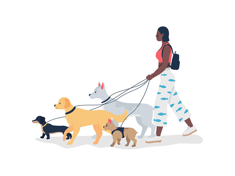 African american girl walking dogs on leashes flat color vector detailed character