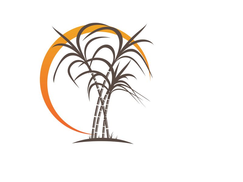 Sugarcane logo vectcr