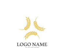 Wheat logo vector icon illustration design