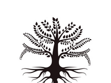 Root Leaf Family Tree of Life Oak Banyan Maple Stamp Seal Emblem Label logo design vector