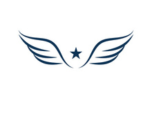 Wing Logo Template vector icon