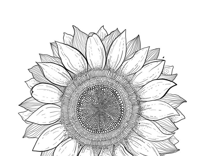 Florals | Free Hand Drawings